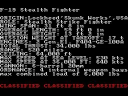 F-19 Stealth Fighter (AMIGA)