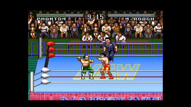 Natsume Championship Wrestling (SNES)