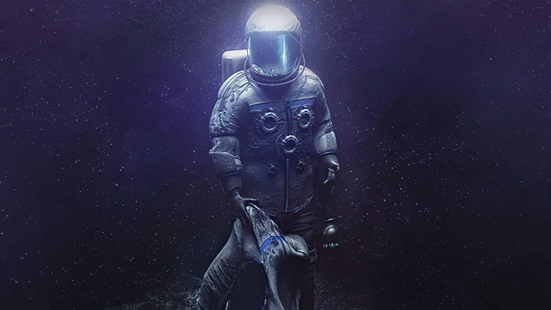 The Swapper