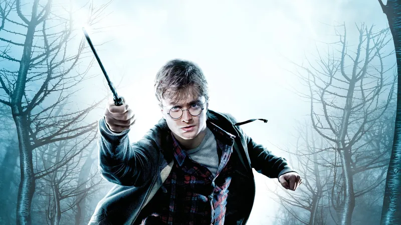 Harry Potter and the Deathly Hallows, Part 1 (WII)